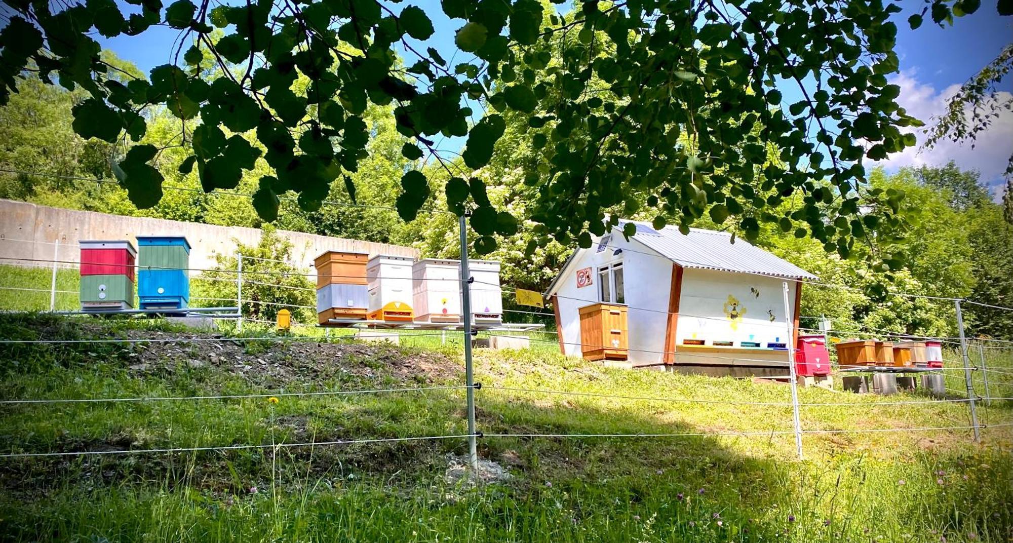 Apartmany Svrcinky Liptovský Mikuláš Eksteriør billede